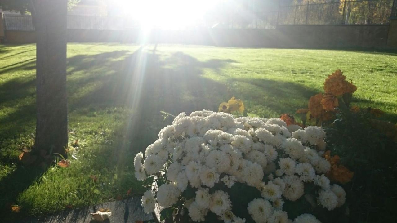 La Estibialla Country house